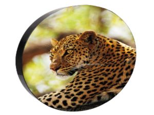 JR-P1.9-circle-LED-display-2-1