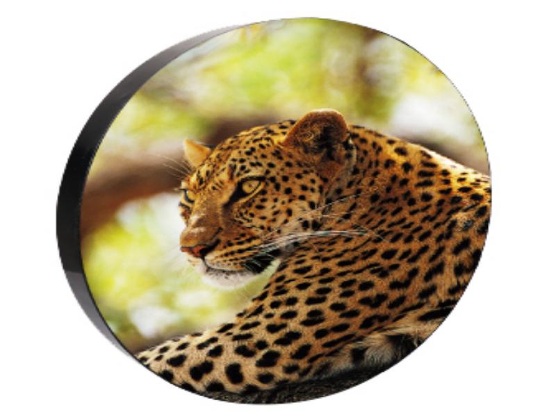 JR-P1.9-circle-LED-display-2-1