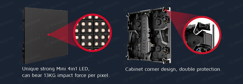 Spider Description 3