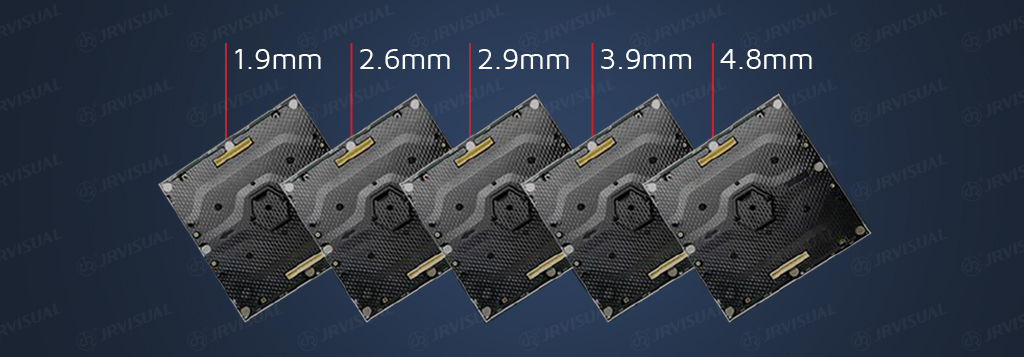 Spider Description 5