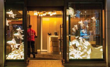 See-Through LED Display12