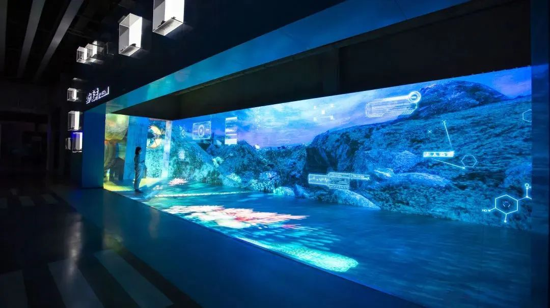 The Role of LED Display Solution Provider in Customized Solutions